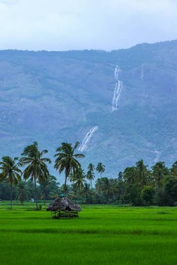 Explore Kerala